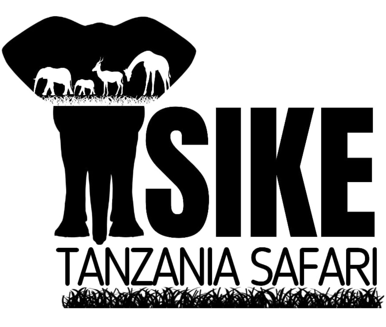 Msike Tanzania Safari