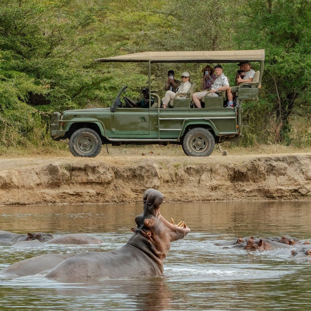 Nyerere National Park