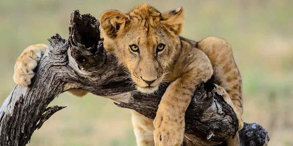 Serengeti National Park