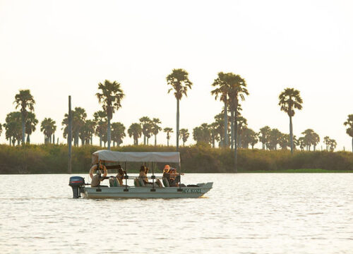 Best Time to Visit Tanzania for Safari (Month-by-Month Guide)